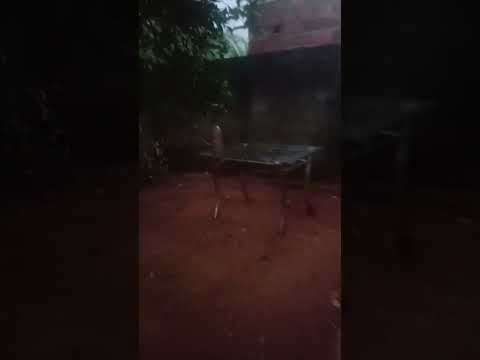 Fim de tarde em Uruaçu Goiás🥀✨linda paisagem🎋inscese curta comenta compartilhar viralisa fy