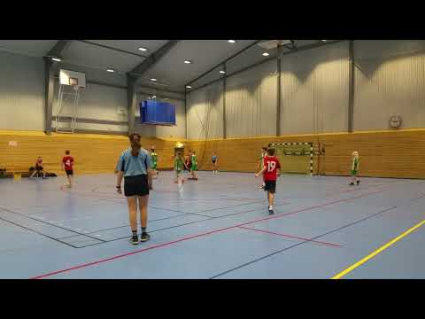 Hammarby Handboll P08 - Årsta P07