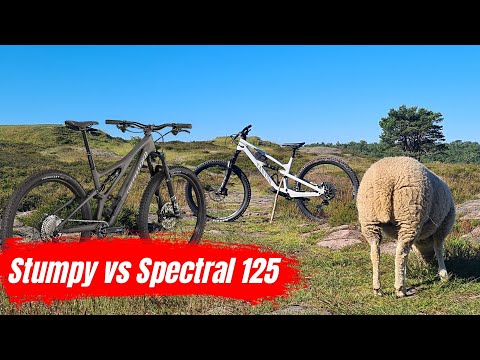 KING of the TRAILS | Stumpjumper Comp vs Spectral 125 CF 7