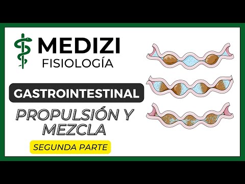 Class 46 Gastrointestinal Physiology - Propulsion and Mixing Part 2 (2/2) (IG:@doctor.paiva)