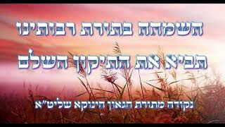 הפסיעות הקדושות בשמחה שיביאו את הגאולה השלימה | נקודה מתורת רבינו הגאון הינוקא שליט"א -מאת הגר"י צמח