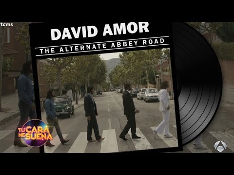 David Amor - TCMS6