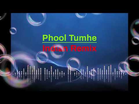 DJ Ravin phool tumhe Indian remix