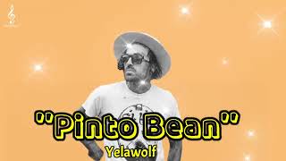 Cover art for Pinto Bean's Song