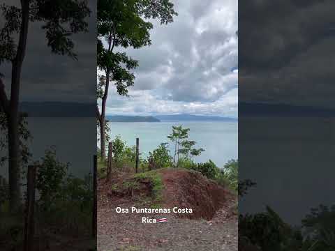 Osa Puntarenas Costa Rica 🇨🇷