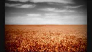 Philip Glass - Renfield.wmv