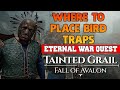 Where To Place Bird Traps (Eternal War Quest) - Tainted Grail: The Fall of Avalon