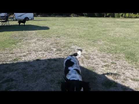 Embedded YouTube video