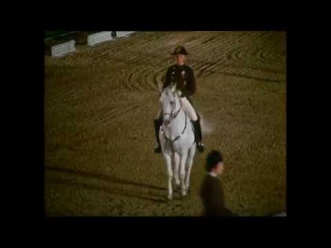 400 Jahre Spanische Reitschule Wien 1972 - Gala Schönbrunn (1/2)