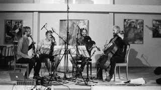 Danish String Quartet - Wood Works (official album trailer - HD)