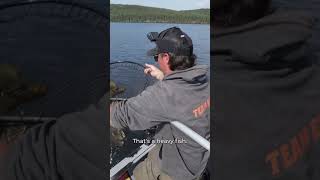 Ena Lake MONSTER trout! @FishHuntCookCanada reels in what could be the lake record. #fishsask