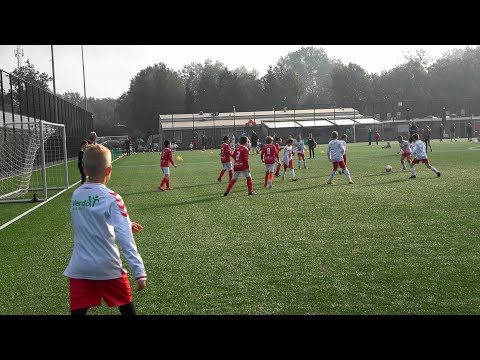 Eerste helft Valleivogels JO11-3 - DOVO JO11-3.