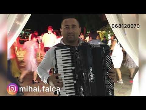 Mihai Falca - Lacrima tăcerii