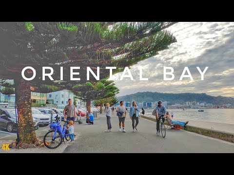 Oriental Bay Beach Walking Tour | Wellington New Zealand Capital | New Zealand Walking Tour 4K 2023