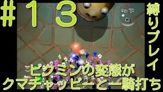 【ピクミン2】【クマチャッピー縛り】ピクミンの変態がクマチャッピーと一騎打ちpart13【ライジング】