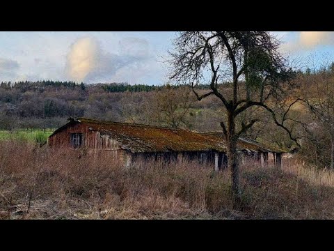 Eine verlassene scheune! (Seid 40 Jahren leer) Mit Kutsche!