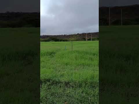 Chuva no sertão Cariri Paraíbano 