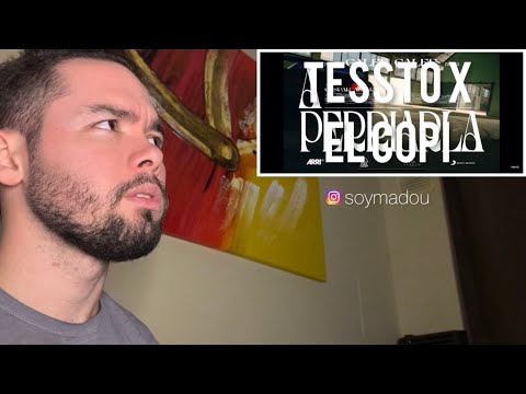 Galee Galee, Pailita, Cris MJ - A PERRIARLA (Video Oficial) REACCION #134