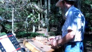 Star of the County Down.AVI