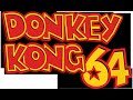 It S Gonna Be DK Isle