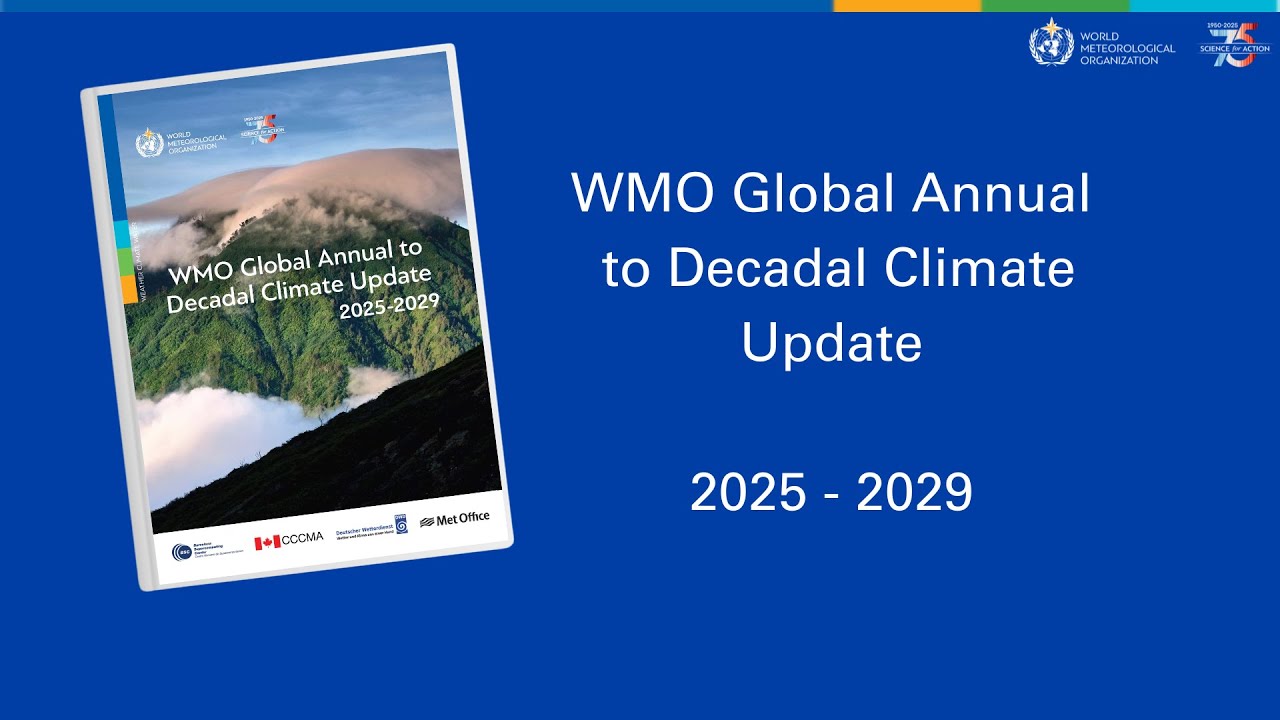 youtube video id=e5NfZDNVHQA