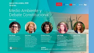 Imagen Webinar: Medio ambiente y Debate Constitucional