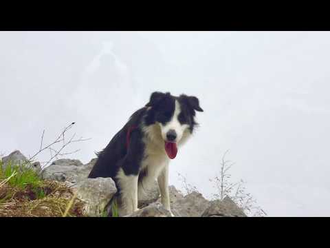 Rifugio Nello Conti Via Vandelli