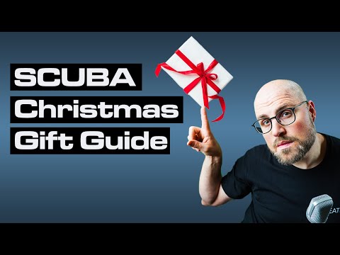 Best Christmas Gifts for Divers under 100$ - SCUBA Christmas Gift Guide [2020]