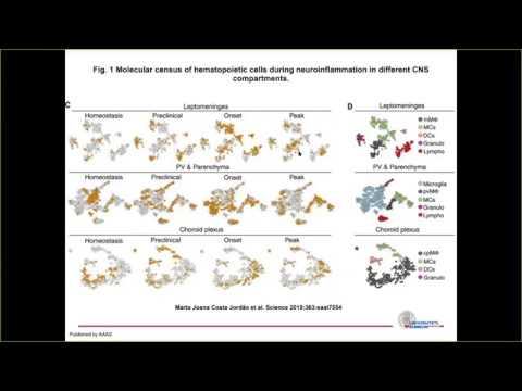 Single-cell Webinar: Building a transcriptional atlas of myeloid subsets during neuroinflammation