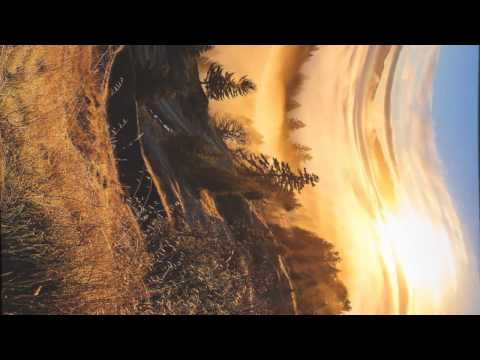 OHM G - Hulectric Soul