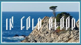 In Cold Blood-Unofficial Video