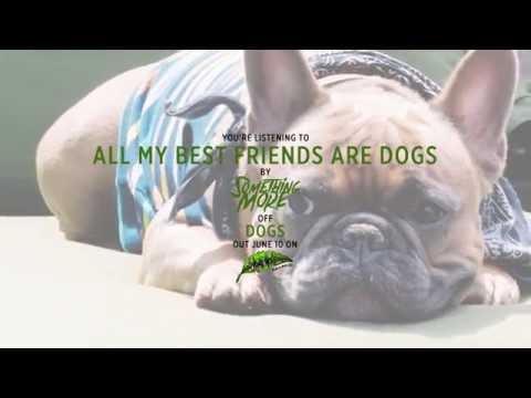 Something More - All My Best Friends Are Dogs