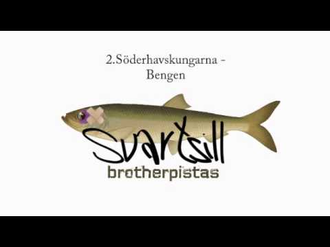 Brotherpistas Svartsill 2 - Archive