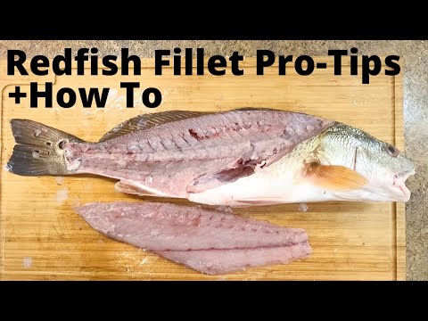 How to Fillet Redfish Perfect - Pro Tip for Quick Easy Fillet