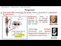 Pangenesis Darwin video lecture