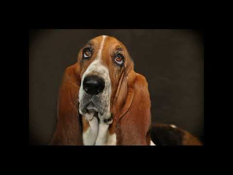 Wunderwaffe Clicker?