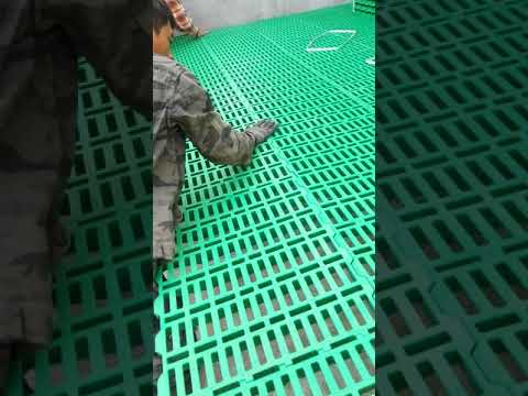 羊牀