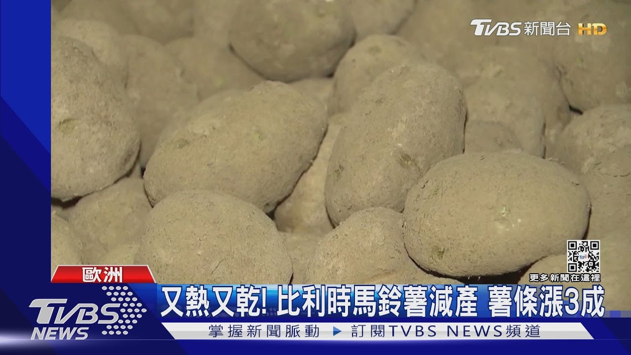 又熱又乾! 比利時馬鈴薯減產薯條價格漲3成