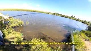 Отчет по рыбалке с подмосковных водоемов