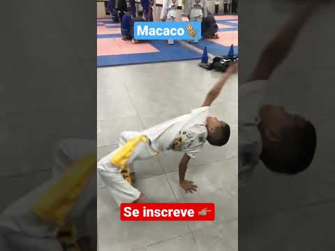 Macaco #Capoeira Se inscreve aí 👆🏽
