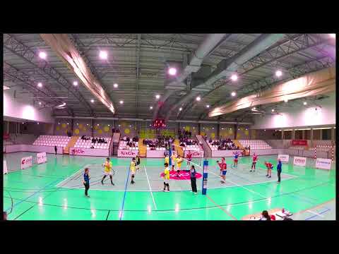 CID JOVELLANOS -  CV LA CALZADA