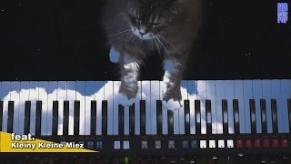 Video thumbnail for Kleine Miez - The Italo Synth Cat (No More Pop) by No More Pop