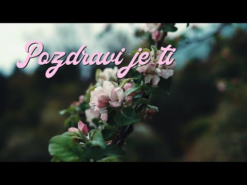 Mate Bulić - Pozdravi je ti (Official Lyric Video)