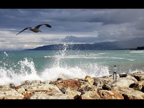 Lòng người viễn xứ - Hồng Tước