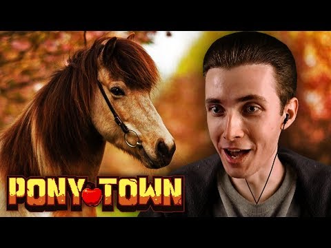 JESUSAVGN В PONY TOWN