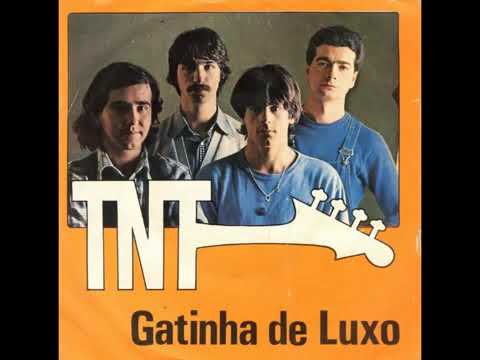 TNT - Gatinha De Luxo