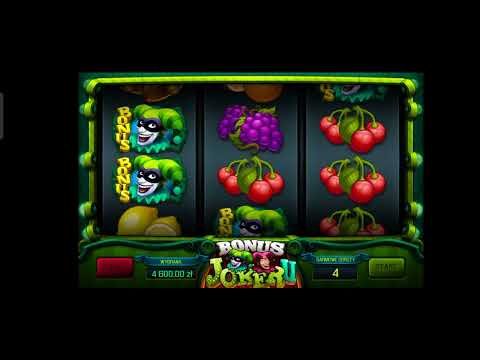 mr pacho casino opinie