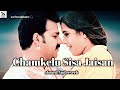 Chamkelu Sisa Jaisan Hit Song Slowed Reverb Pawan Singh