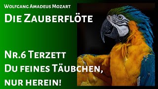 Music video thumbnail preview for Die Zauberflöte Nr.6 Terzett \ by Wolfgang Amadeus Mozart