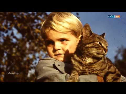 Portrait Hans-Eckardt Wenzel - Sänger, Dichter, Weltentdecker - Lebensläufe - Reportage